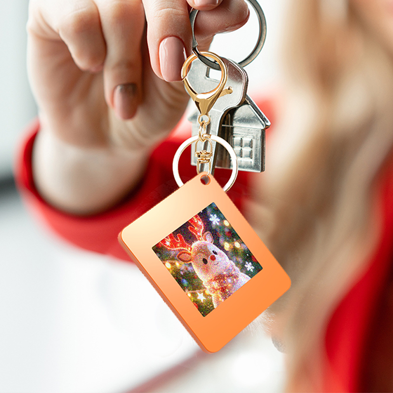 NFC Function Keychains 1.54-in - đánh giá và giá Diy Electronics Location