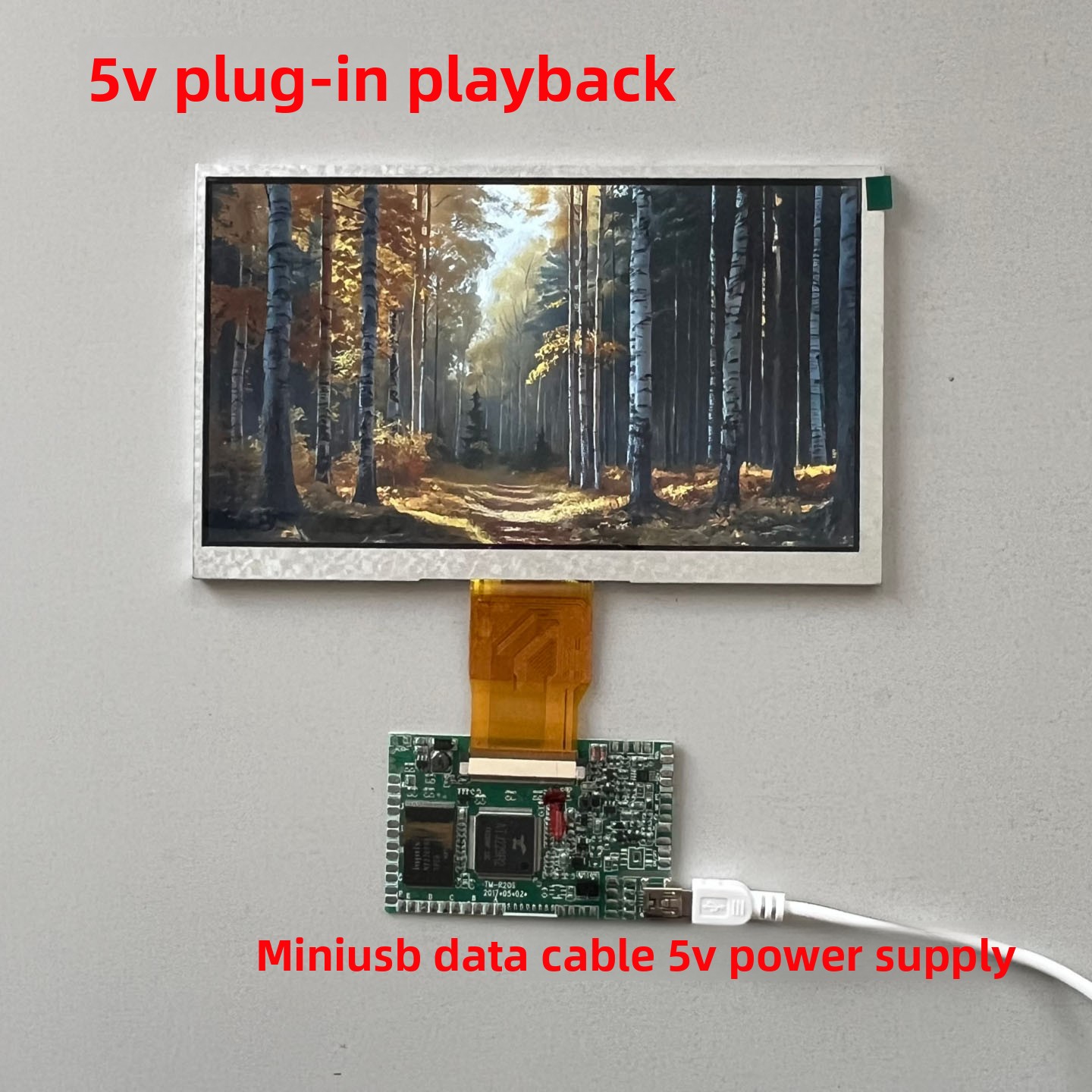 Electronic Professional Video  - đánh giá và giá Diy Electronics Videos